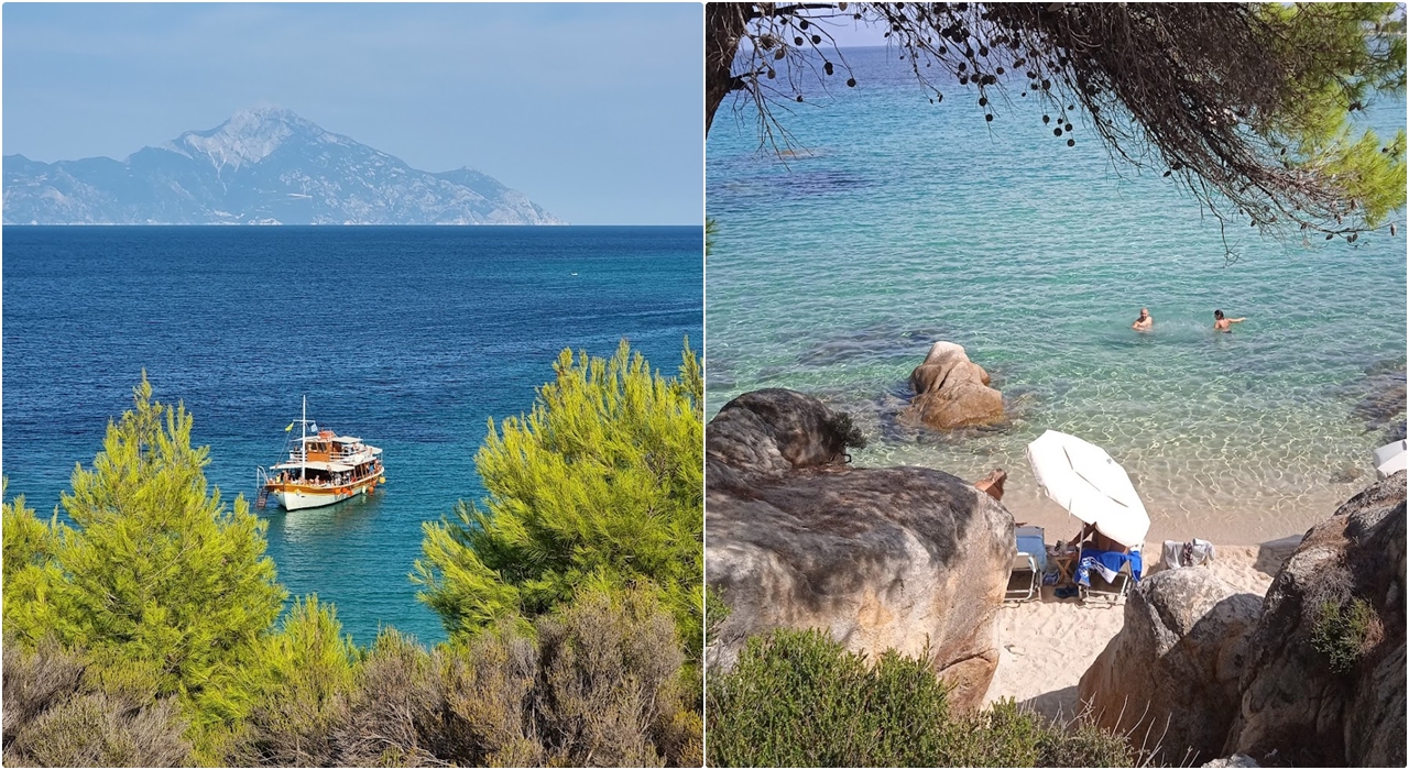  Kavourotripes Paradise Sitonija 